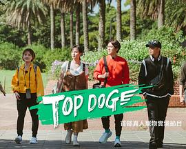 91成人导航《TOP DOG》免费在线观看