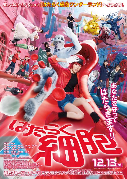 91快活林《工作细胞 真人版 はたらく細胞》免费在线观看